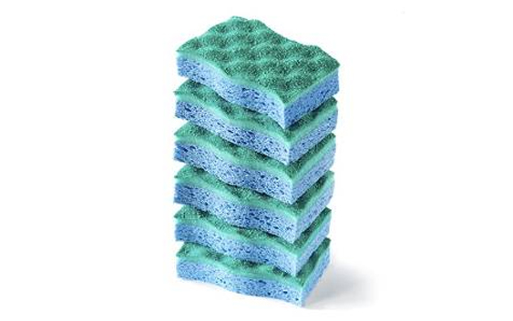 Sponge,Package of 6
