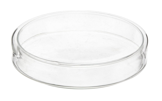 Petri-Dish,20/Pkg